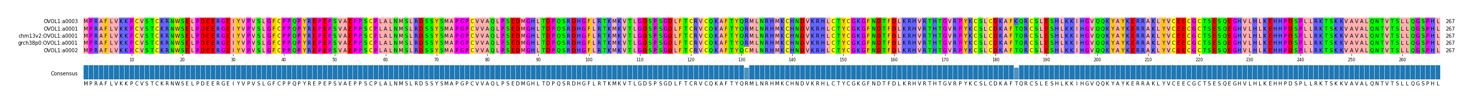Multiple Alignments (by translate haplotype similarity)