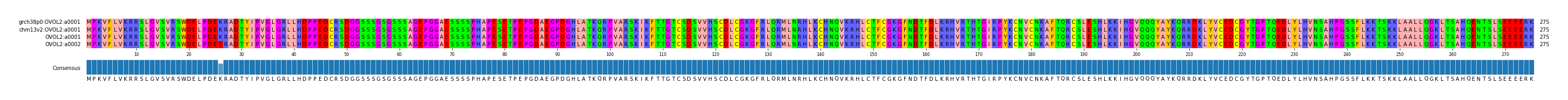 Multiple Alignments (by translate haplotype similarity)