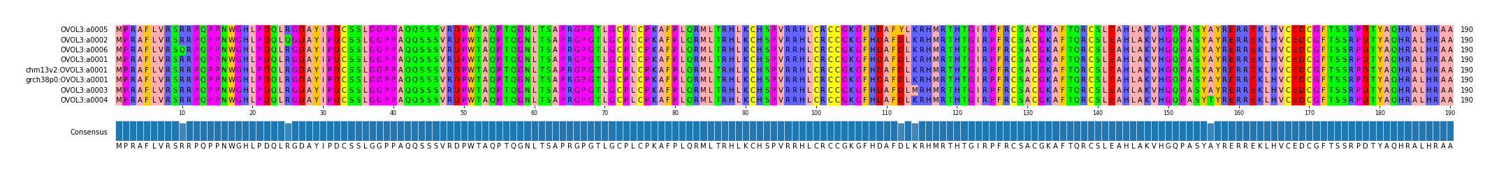 Multiple Alignments (by translate haplotype similarity)