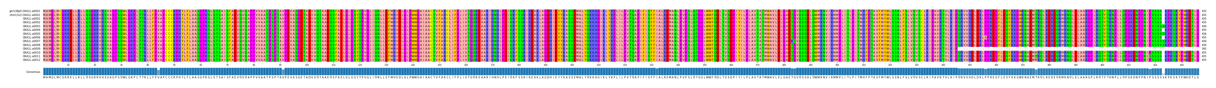 Multiple Alignments (by translate haplotype frequency)