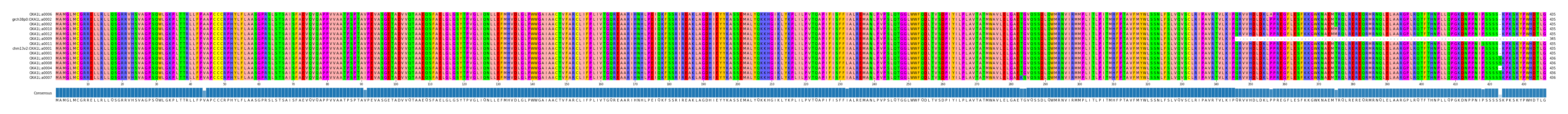 Multiple Alignments (by translate haplotype similarity)