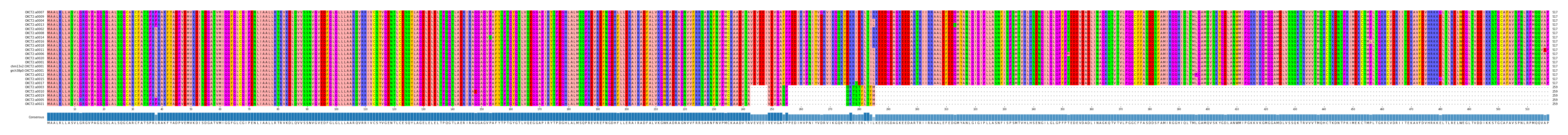Multiple Alignments (by translate haplotype similarity)