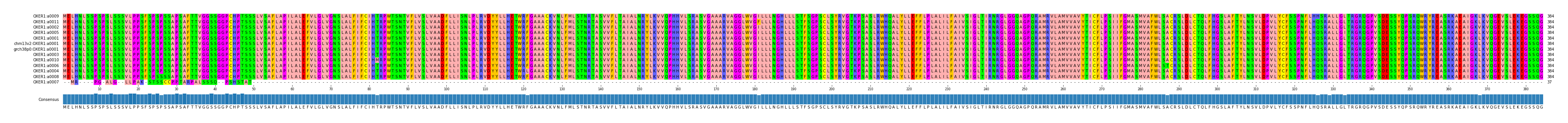 Multiple Alignments (by translate haplotype similarity)