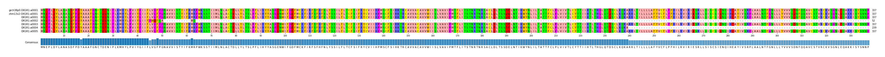 Multiple Alignments (by translate haplotype frequency)