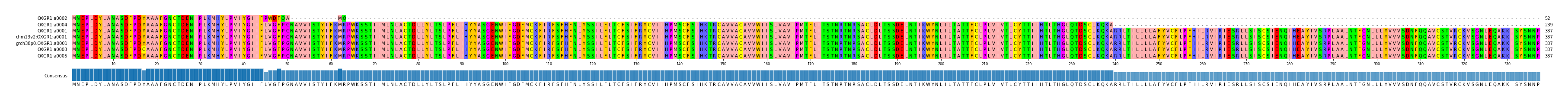 Multiple Alignments (by translate haplotype similarity)