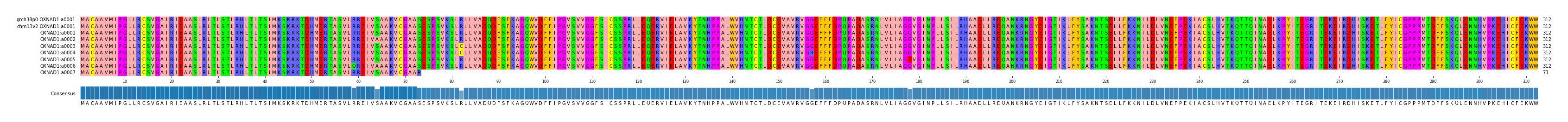 Multiple Alignments (by translate haplotype frequency)