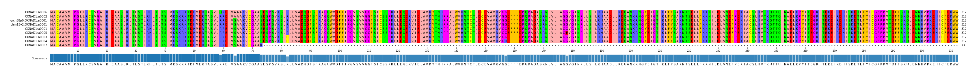 Multiple Alignments (by translate haplotype similarity)