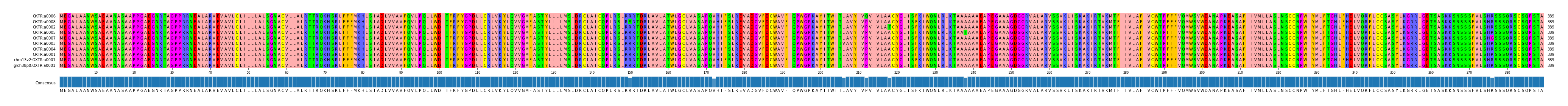 Multiple Alignments (by translate haplotype similarity)