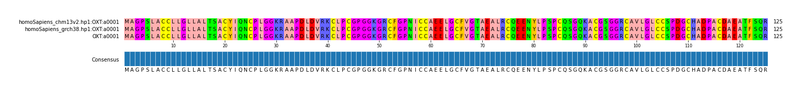 Multiple Alignments (by translate haplotype similarity)
