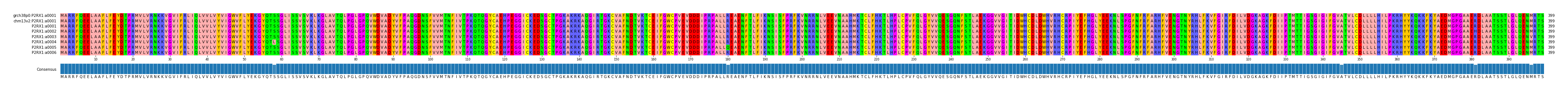 Multiple Alignments (by translate haplotype frequency)