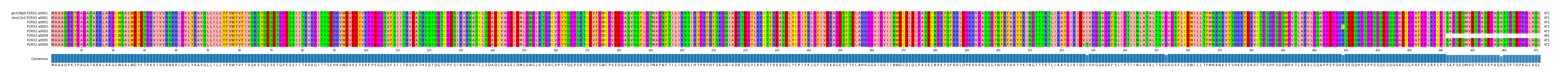 Multiple Alignments (by translate haplotype frequency)