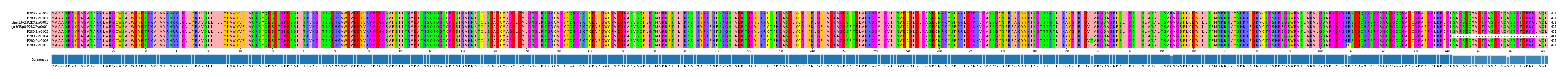 Multiple Alignments (by translate haplotype similarity)