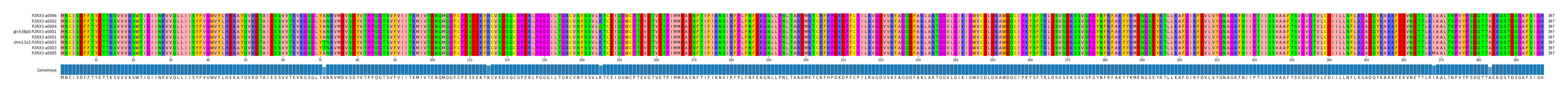 Multiple Alignments (by translate haplotype similarity)