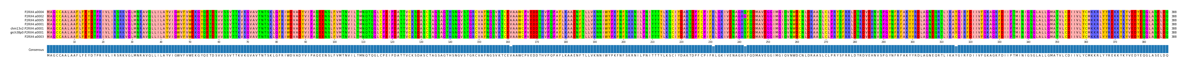 Multiple Alignments (by translate haplotype similarity)