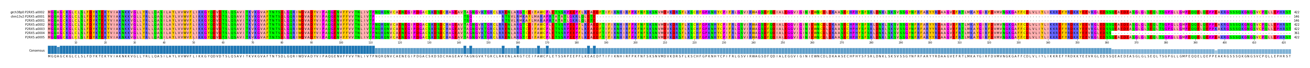 Multiple Alignments (by translate haplotype frequency)