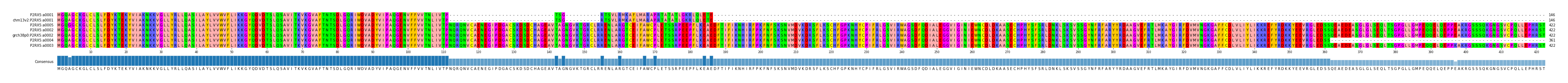 Multiple Alignments (by translate haplotype similarity)