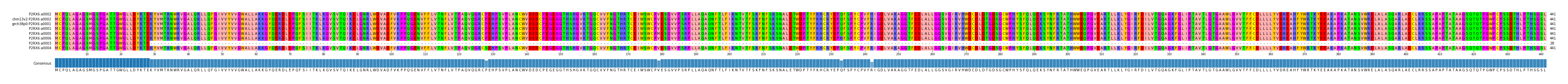 Multiple Alignments (by translate haplotype similarity)
