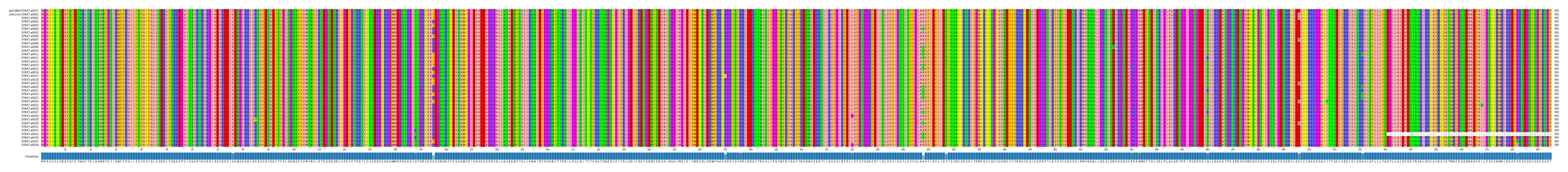 Multiple Alignments (by translate haplotype frequency)