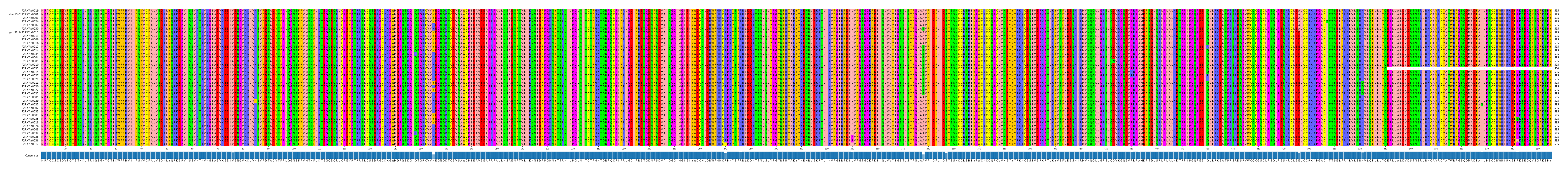 Multiple Alignments (by translate haplotype similarity)