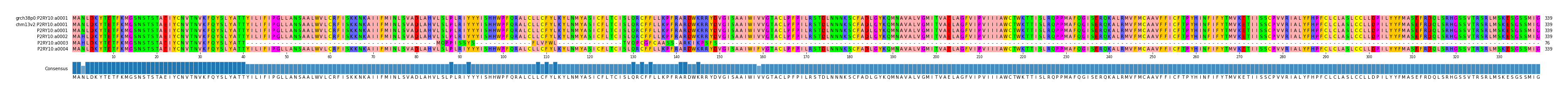 Multiple Alignments (by translate haplotype frequency)