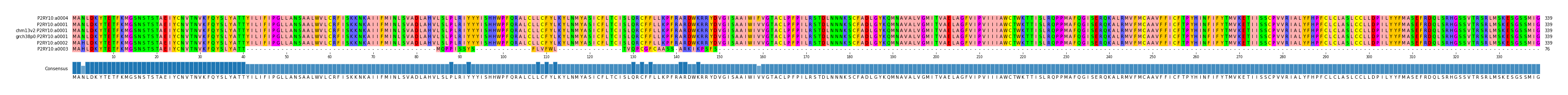 Multiple Alignments (by translate haplotype similarity)