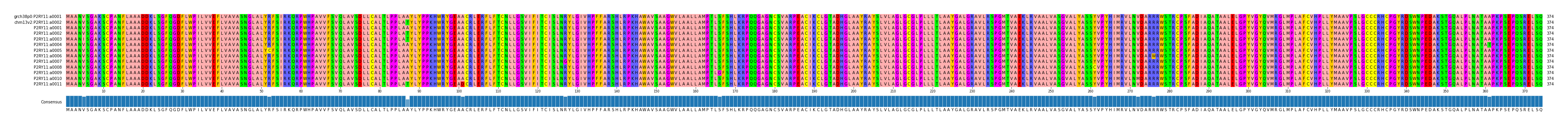 Multiple Alignments (by translate haplotype frequency)