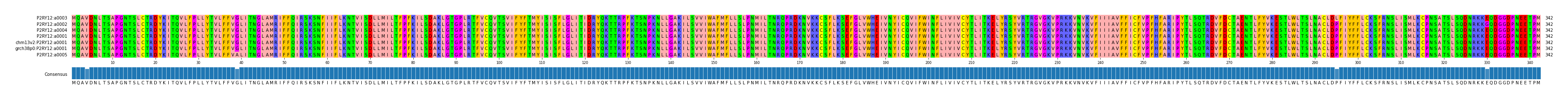 Multiple Alignments (by translate haplotype similarity)