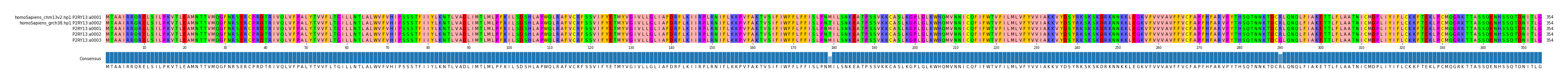 Multiple Alignments (by translate haplotype frequency)