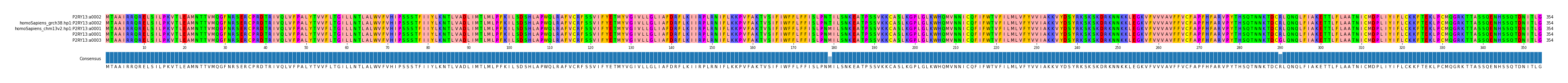 Multiple Alignments (by translate haplotype similarity)