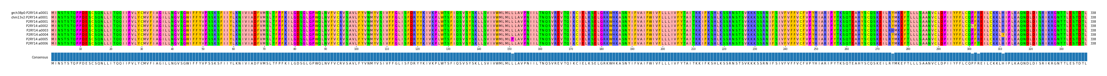 Multiple Alignments (by translate haplotype frequency)
