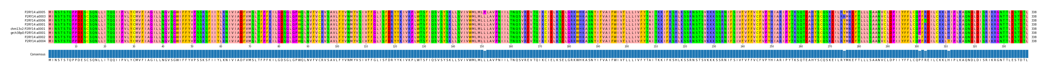 Multiple Alignments (by translate haplotype similarity)