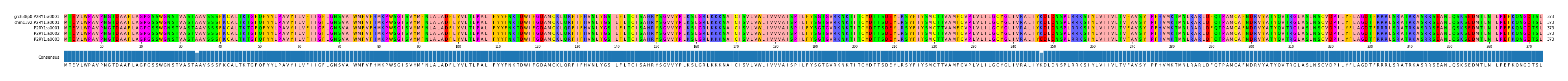 Multiple Alignments (by translate haplotype frequency)
