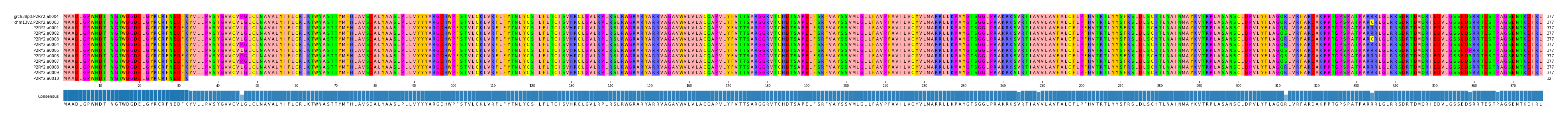 Multiple Alignments (by translate haplotype frequency)