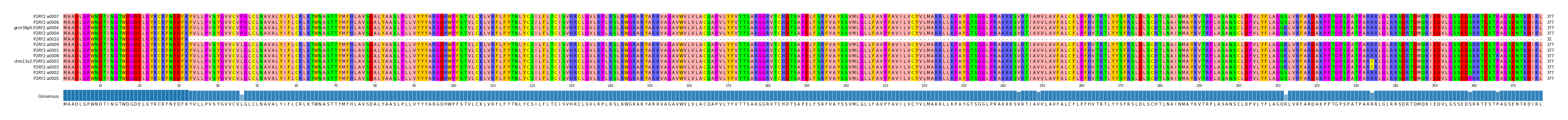 Multiple Alignments (by translate haplotype similarity)