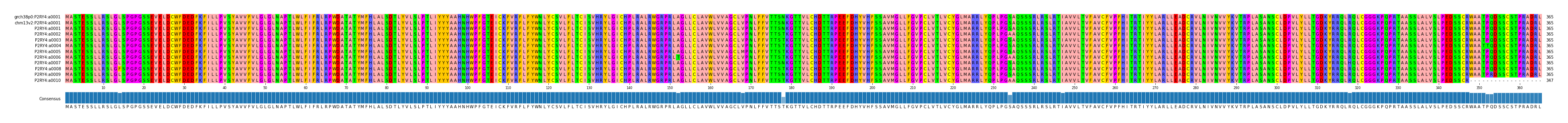 Multiple Alignments (by translate haplotype frequency)