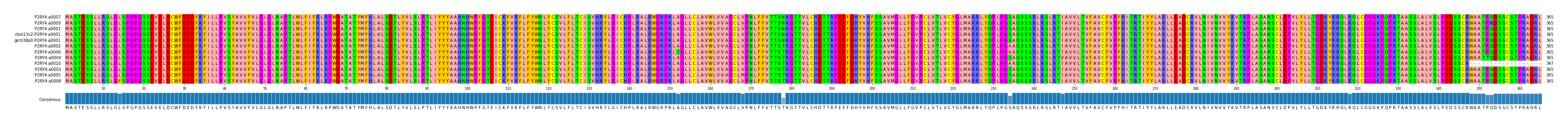 Multiple Alignments (by translate haplotype similarity)