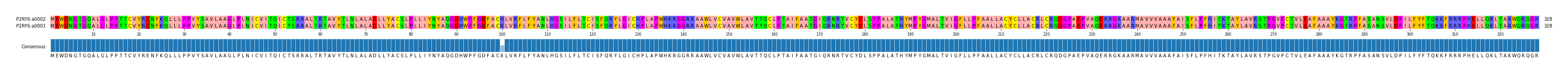 Multiple Alignments (by translate haplotype similarity)