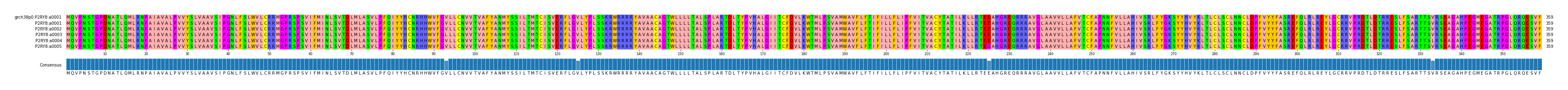 Multiple Alignments (by translate haplotype frequency)