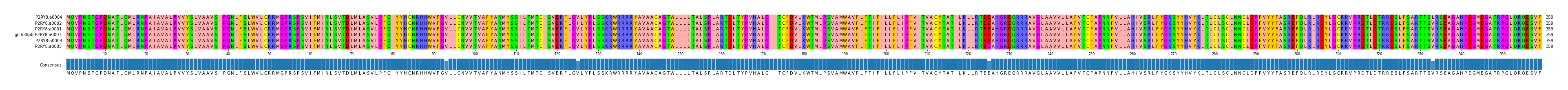 Multiple Alignments (by translate haplotype similarity)