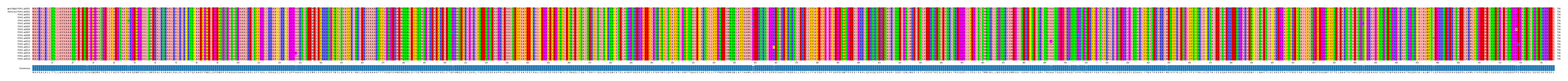 Multiple Alignments (by translate haplotype frequency)