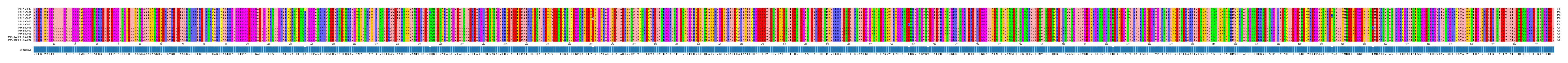 Multiple Alignments (by translate haplotype similarity)
