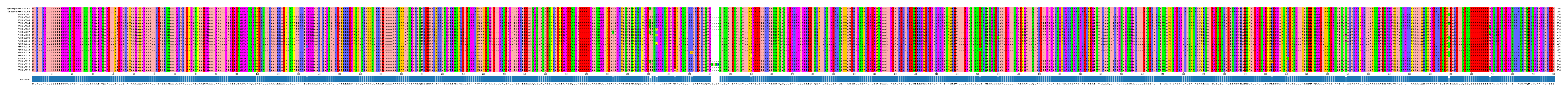 Multiple Alignments (by translate haplotype frequency)