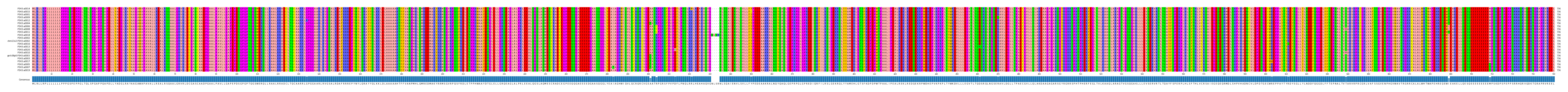 Multiple Alignments (by translate haplotype similarity)