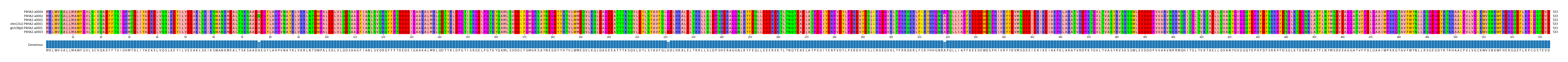 Multiple Alignments (by translate haplotype similarity)
