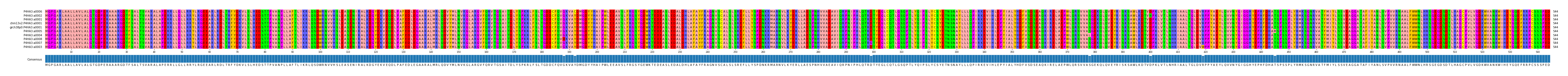 Multiple Alignments (by translate haplotype similarity)