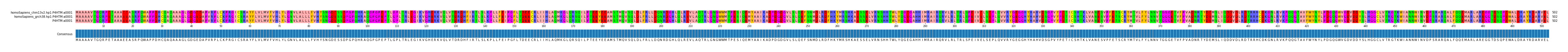 Multiple Alignments (by translate haplotype frequency)
