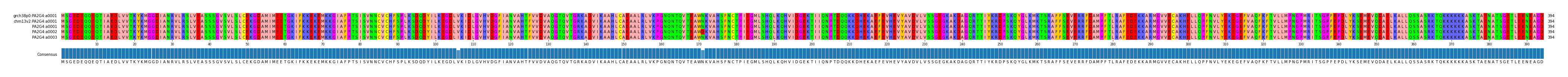 Multiple Alignments (by translate haplotype frequency)