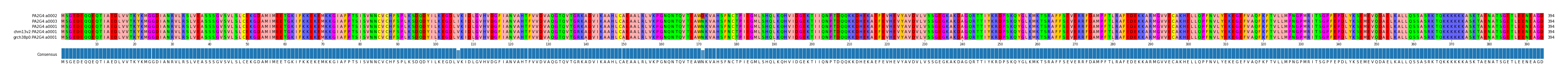 Multiple Alignments (by translate haplotype similarity)