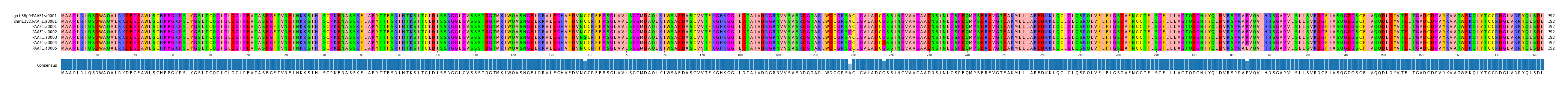 Multiple Alignments (by translate haplotype frequency)