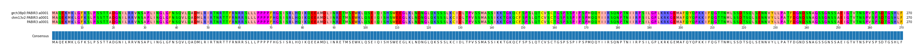 Multiple Alignments (by translate haplotype similarity)